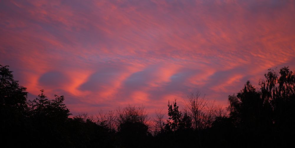 n_1001abendhimmelimg_2531.jpg